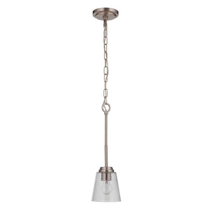 Tyler 1 Light Mini Pendant in Brushed Polished Nickel