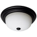 NUVO 2 LIGHT - 13" FLUSH FIXTURE