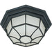 NUVO 1 LIGHT 12 SPIDER CAGE CEILING