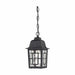 NUVO BANYAN 1 LIGHT OUTDOOR HANGING