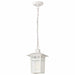 NUVO COVE NECK 1 LIGHT OUTDOOR HANG