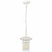 NUVO COVE NECK 1 LIGHT OUTDOOR HANG