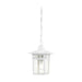 NUVO COVE NECK 1 LIGHT OUTDOOR HANG