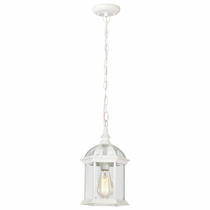 NUVO BOXWOOD 1 LIGHT OUTDOOR HANGING