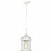 NUVO BOXWOOD 1 LIGHT OUTDOOR HANGING