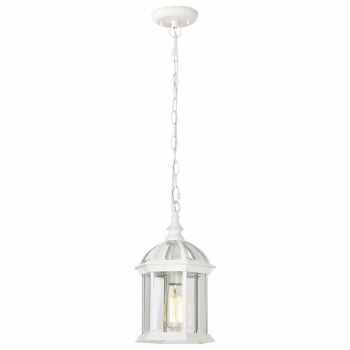 NUVO BOXWOOD 1 LIGHT OUTDOOR HANGING