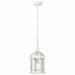 NUVO BOXWOOD 1 LIGHT OUTDOOR HANGING