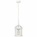 NUVO BOXWOOD 1 LIGHT OUTDOOR HANGING