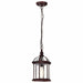 NUVO BOXWOOD 1 LIGHT OUTDOOR HANGING