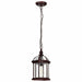 NUVO BOXWOOD 1 LIGHT OUTDOOR HANGING