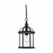 NUVO BOXWOOD 1 LIGHT OUTDOOR HANGING