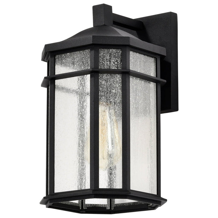 NUVO RAIDEN 1 LIGHT OUTDOOR SM WALL 60-5760