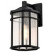 NUVO RAIDEN 1 LIGHT OUTDOOR SM WALL 60-5760