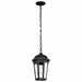 NUVO EAST RIVER 1 LIGHT OUTDOOR HANGING 60-5944