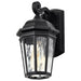 NUVO EAST RIVER 1 LIGHT OUTDOOR SM WALL 60-5945