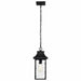 NUVO AUSTEN 1 LIGHT OUTDOOR HANGING 60-5996