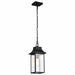 NUVO AUSTEN 1 LIGHT OUTDOOR HANGING 60-5996