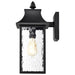 NUVO AUSTEN 1 LIGHT OUTDOOR LG WALL 60-5998