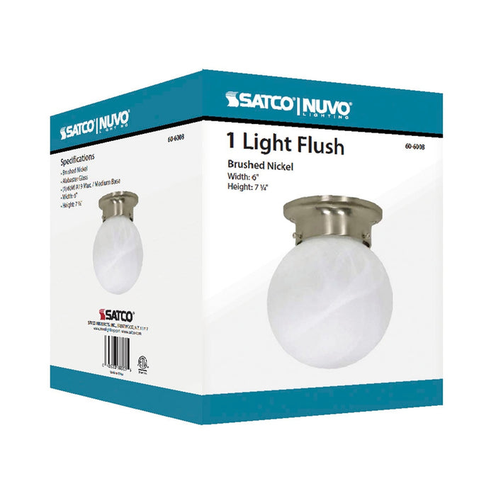 1 LIGHT - 6" BALL FLUSH FIXTURE