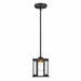 NUVO PAYNE 1 LIGHT MINI PENDANT 60-6412