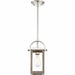 NUVO BLISS 1 LIGHT MINI PENDANT 60-6484