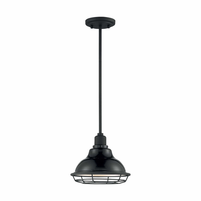 NUVO NEWBRIDGE 1 LIGHT SMALL PENDANT