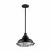 NUVO NEWBRIDGE 1 LIGHT LARGE PENDANT