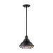 NUVO NEWBRIDGE 1 LIGHT SMALL PENDANT