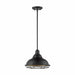 NUVO NEWBRIDGE 1 LIGHT LARGE PENDANT