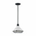 NUVO NEWBRIDGE 1 LIGHT SMALL PENDANT