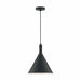 NUVO LIGHTCAP 1 LIGHT LARGE PENDANT