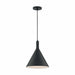 NUVO LIGHTCAP 1 LIGHT LARGE PENDANT