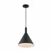 NUVO LIGHTCAP 1 LIGHT LARGE PENDANT