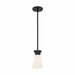 NUVO CALETA 1 LIGHT MINI PENDANT 60-7314