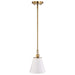 NUVO DOVER 1 LIGHT SMALL PENDANT