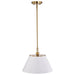 NUVO DOVER 1 LIGHT MEDIUM PENDANT