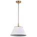 NUVO DOVER 1 LIGHT MEDIUM PENDANT