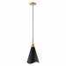 NUVO TANGO 1 LIGHT LARGE PENDANT