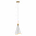 NUVO TANGO 1 LIGHT LARGE PENDANT