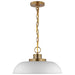 NUVO COLONY 1 LIGHT SMALL PENDANT