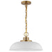 NUVO COLONY 1 LIGHT SMALL PENDANT