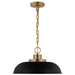 NUVO COLONY 1 LIGHT SMALL PENDANT