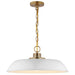 NUVO COLONY 1 LIGHT MEDIUM PENDANT