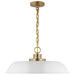 NUVO COLONY 1 LIGHT MEDIUM PENDANT