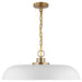 NUVO COLONY 1 LIGHT LARGE PENDANT