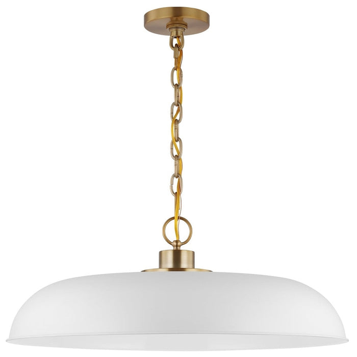 NUVO COLONY 1 LIGHT LARGE PENDANT