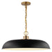 NUVO COLONY 1 LIGHT LARGE PENDANT