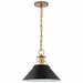 NUVO OUTPOST 1 LIGHT MEDIUM PENDANT