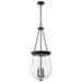 NUVO BOLIVER 3 LIGHT 14" PENDANT