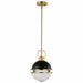 NUVO EVERTON 1 LIGHT 10" PENDANT